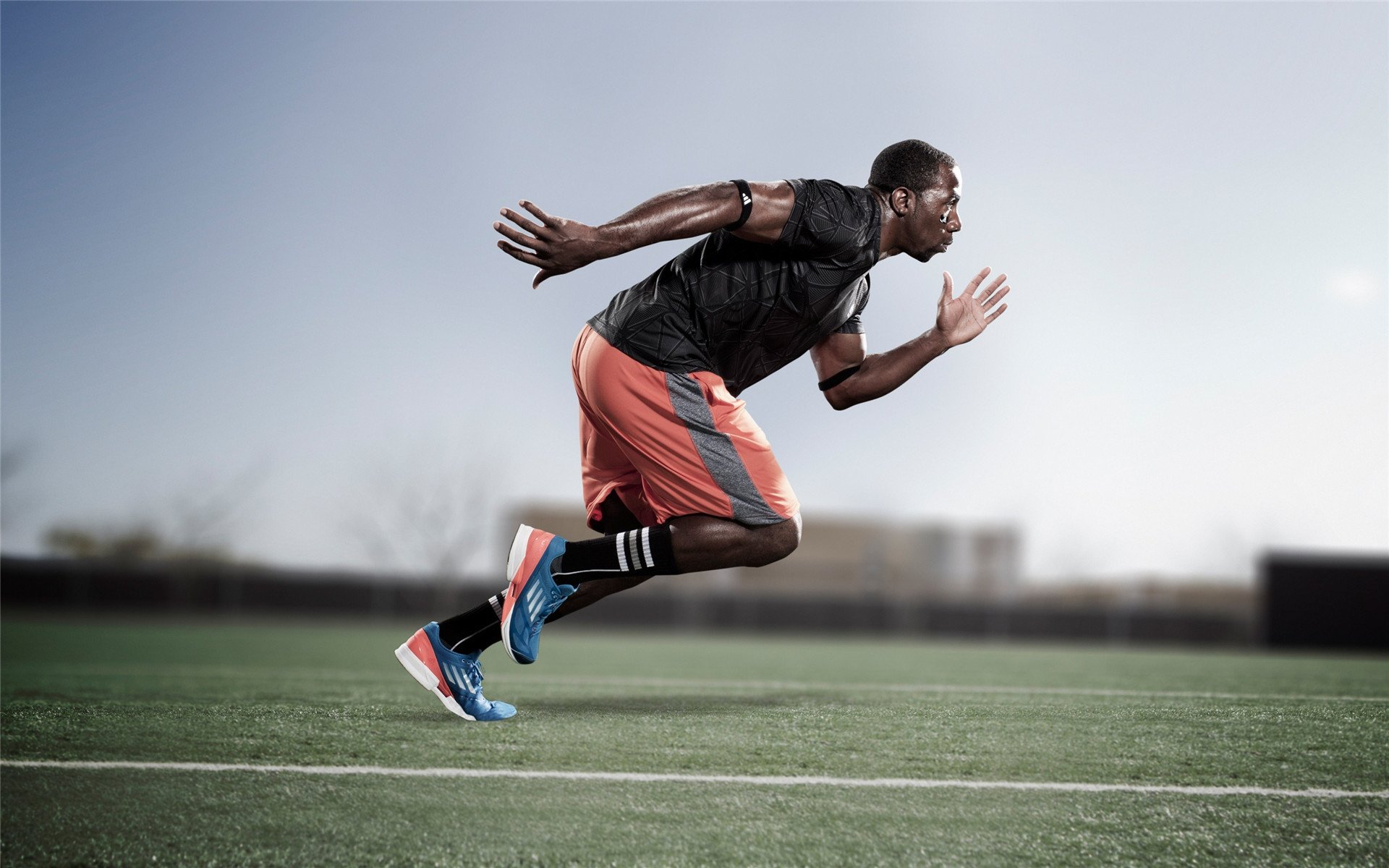 F1年度争冠之夜，霍勒迪用实力证明自己